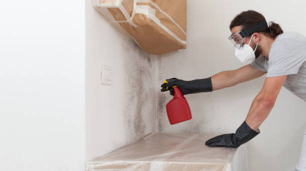 Professional Basement Mold Remediation technician working in State College, PA