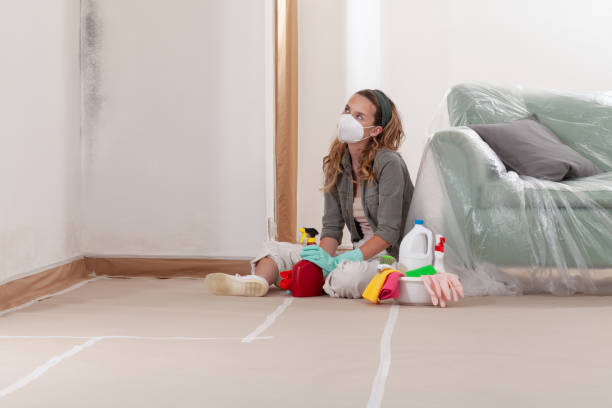 Reliable Basement Mold Remediation contractor in State College, PA by Mold Remediation HQ